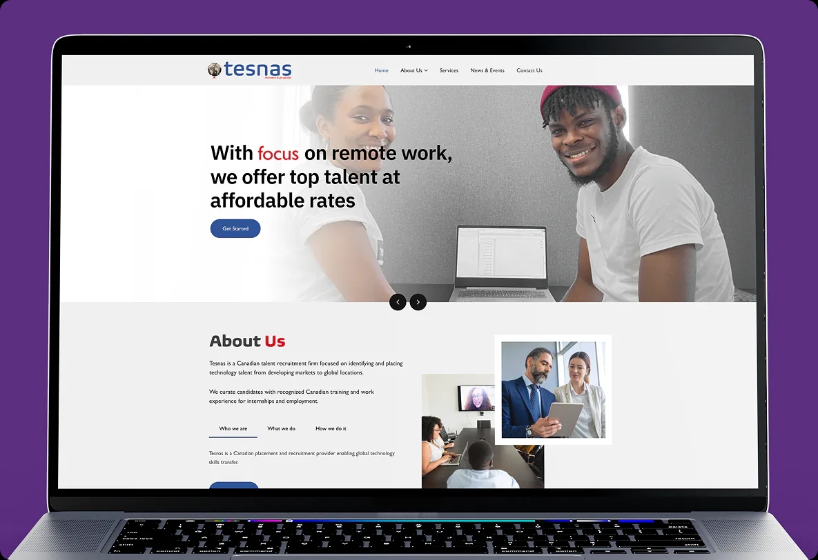 Tesnas project preview
